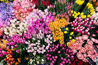 《彩虹六号：围攻》水晶守卫剧情预告片展示Osa发明